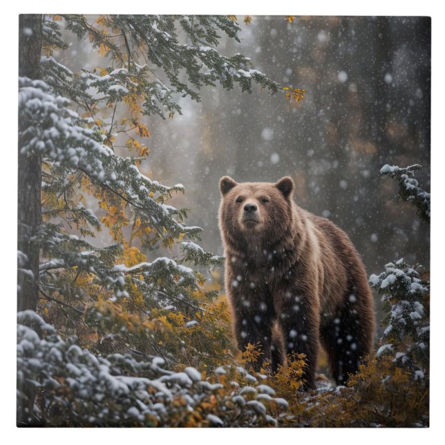 Azulejo De Cerâmica Urso na Natureza Selvagem Neve de inverno (Frente)