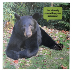 Azulejo De Cerâmica Urso Negro - Estou a corrigir silenciosamente a tu