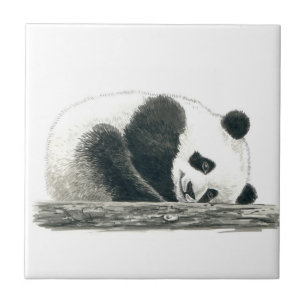 Azulejo De Cerâmica Urso Panda