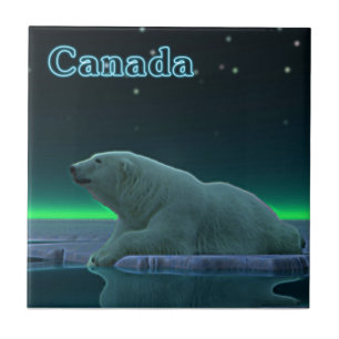 Azulejo De Cerâmica Urso Polar De Borda De Gelo