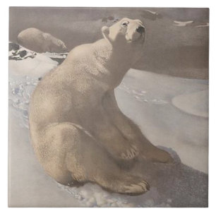 Azulejo De Cerâmica Urso polar na cinza branca de ilustração da colhei