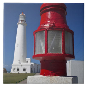 Azulejo De Cerâmica Uruguai, Departamento Rocha, La Paloma. Papais noe