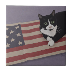 Azulejo De Cerâmica USA Cat