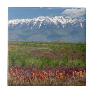Azulejo De Cerâmica Utah, EUA. Monte Timpanogos se Eleva Acima