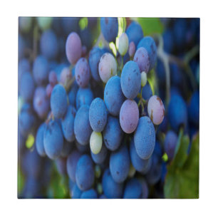 Azulejo De Cerâmica Uvas