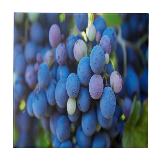 Azulejo De Cerâmica Uvas (Frente)