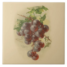 Azulejo De Cerâmica Uvas do vintage