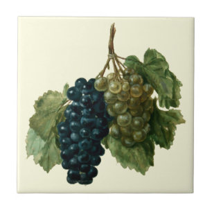 Azulejo De Cerâmica Uvas Renascentistas de Jacques le Moyne