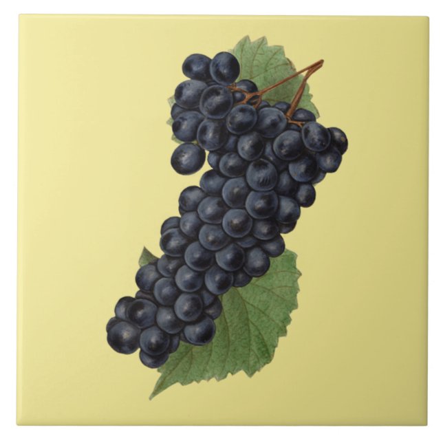 Azulejo De Cerâmica Uvas Vermelhas Botânica ~Cozinha~Qualquer Fundo De (Frente)