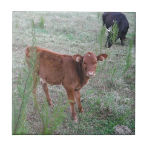 Azulejo De Cerâmica Vaca Castanho.