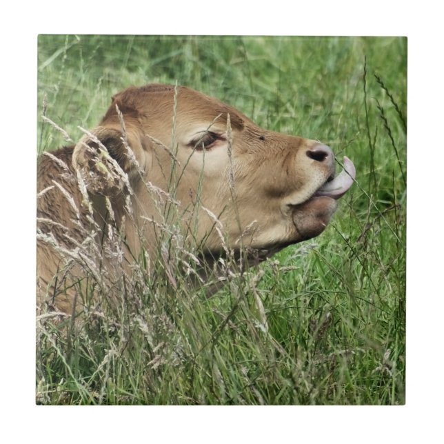 AZULEJO DE CERÂMICA  VACA CUTÂNEA (Frente)