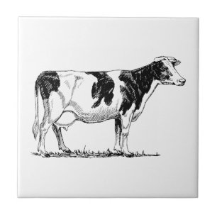 Azulejo De Cerâmica Vaca de Holstein