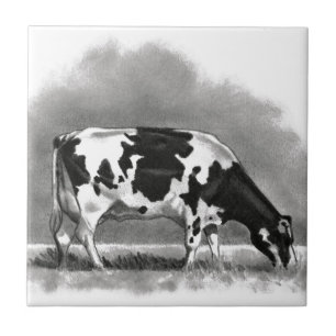 Azulejo De Cerâmica Vaca de Holstein que pasta: Desenho de lápis do