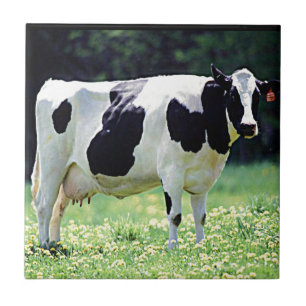 Azulejo De Cerâmica Vaca de leiteria de Wisconsin