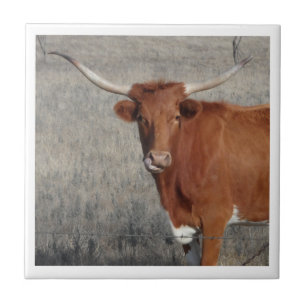 Azulejo De Cerâmica Vaca Longhorn A Banhar O Nariz