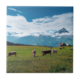 Azulejo De Cerâmica Vacas felizes na fazenda na suiça
