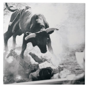Azulejo De Cerâmica Vaqueiro na terra após a queda fora touro
