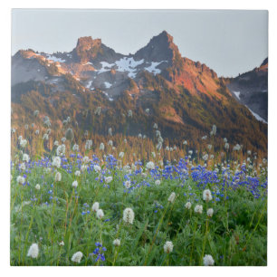 Azulejo De Cerâmica Variação de Tatoosh e flores selvagens Mt. Raini