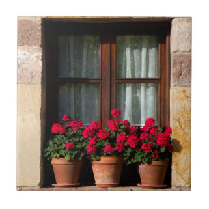 Azulejo De Cerâmica Vasos de flores na janela da aldeia