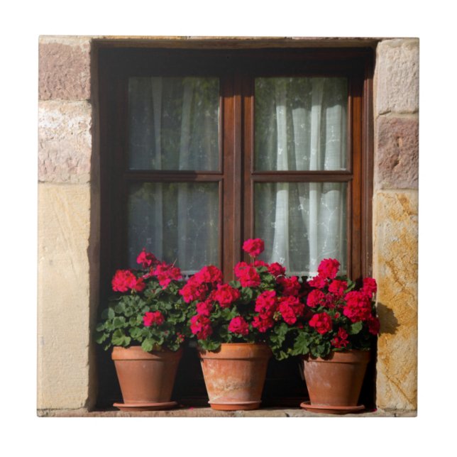 Azulejo De Cerâmica Vasos de flores na janela da aldeia (Frente)