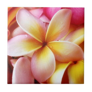 Azulejo De Cerâmica Vazio personalizado flor de Havaí do Frangipani d