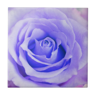 Azulejo De Cerâmica Vazio personalizado fundo da lavanda do rosa do
