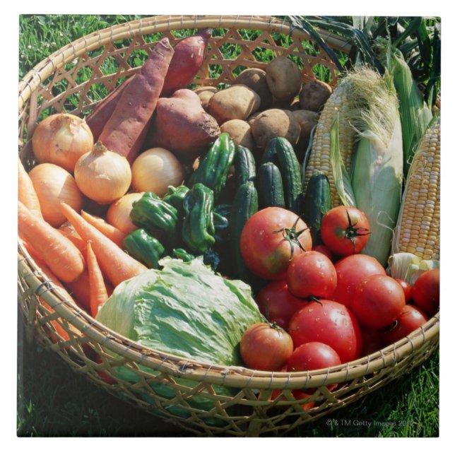 Azulejo De Cerâmica Vegetais 5 (Frente)