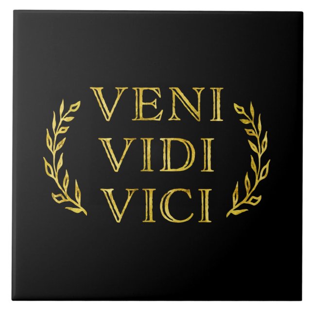 Azulejo De Cerâmica Vencedor engraçado do jogo de Veni Vidi Vici (Frente)