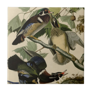 Azulejo De Cerâmica Verão ou pato de madeira