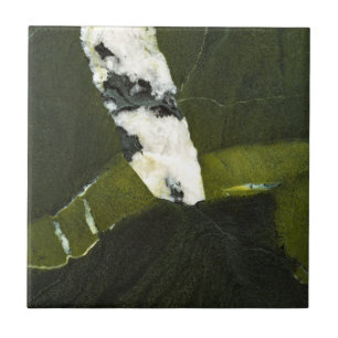 Azulejo De Cerâmica Verde