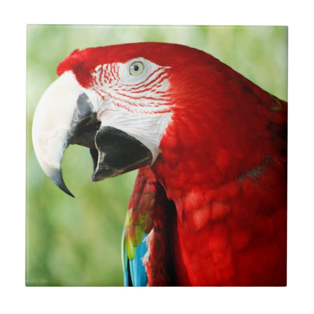 Azulejo De Cerâmica Vermelho Brilhante (Frente)