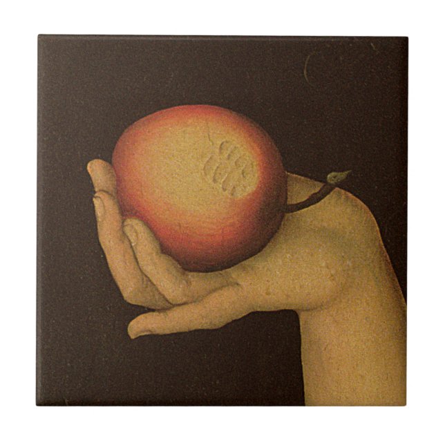 Azulejo De Cerâmica Véspera, 1528 (Frente)