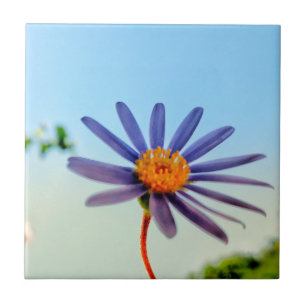 Azulejo De Cerâmica Vibes Selvagens de Flor Azul Mole