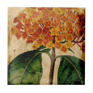 Azulejo De Cerâmica Vibrant Floral I