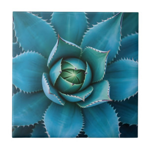 Azulejo De Cerâmica Vibrante Ágata Suculenta Geométrica em Verde-azula