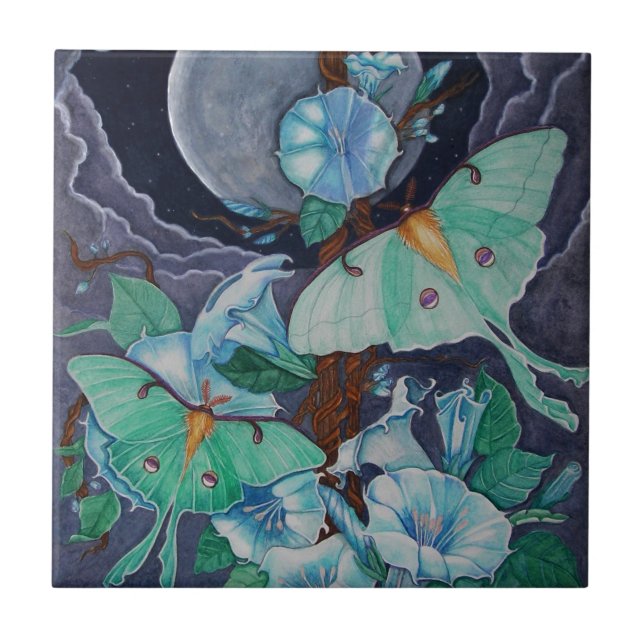 Azulejo De Cerâmica Vida de la Luna (Frente)