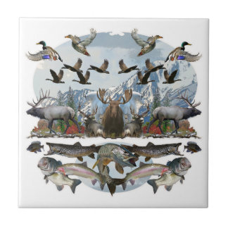 Azulejo De Cerâmica Vida exterior