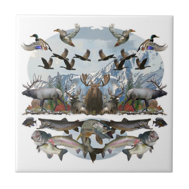 Azulejo De Cerâmica Vida exterior (Frente)