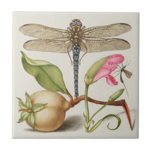Azulejo De Cerâmica Vida no jardim, Libélula, Pera, Cravo e Inseto