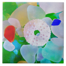 Vidro do mar e diabrete de mar Shell