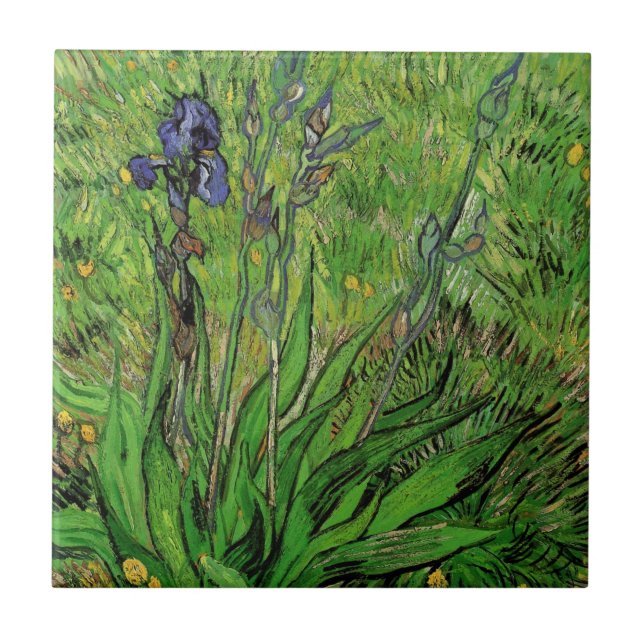 Azulejo De Cerâmica Vincent van Gogh - Iris (Frente)