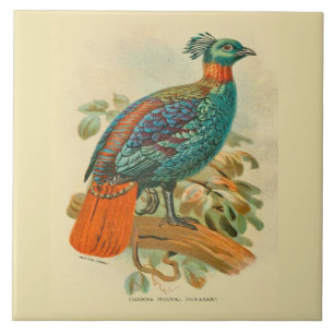 Azulejo De Cerâmica Vintage Art Birds Colorful Pheasant Ilustração