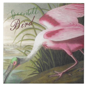 Azulejo De Cerâmica Vintage Audubon Illustration Spoonbill Bird
