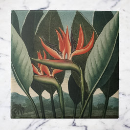 Azulejo De Cerâmica Vintage Bird do Templo Botânico do Paraíso da Flor