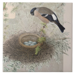 Azulejo De Cerâmica Vintage Bird Nest Blue Egs Collaf Folha