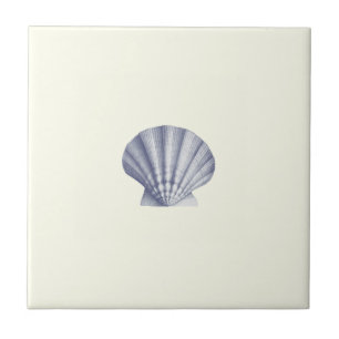 Azulejo De Cerâmica Vintage Blue Sea Shell moderno na Costa do Marfim
