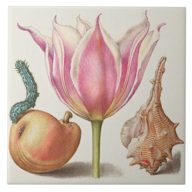 Azulejo De Cerâmica Vintage Botanical (Frente)