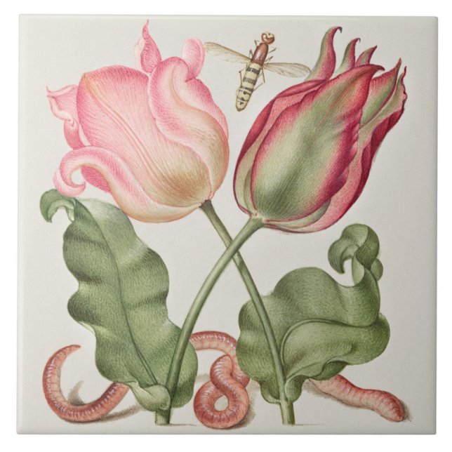 Azulejo De Cerâmica Vintage Botanical (Frente)