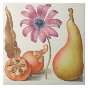 Azulejo De Cerâmica Vintage Botanical