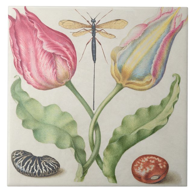 Azulejo De Cerâmica Vintage Botanical  (Frente)